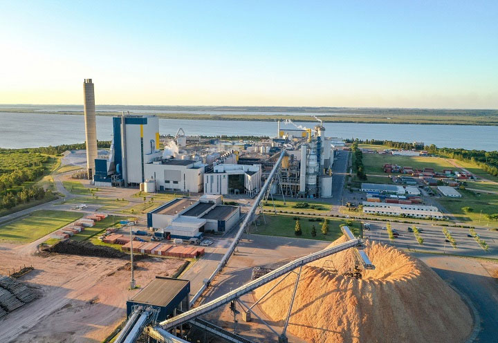 Industria celulosa y papel